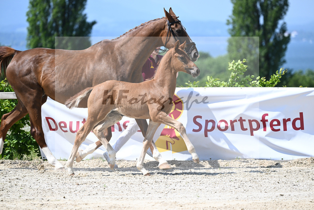 Kat-Nr. 8 HF DSP Feliciano_Niedermair_15230183 | hf-fotografie - Realizzato con Pictrs.com