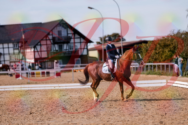 2026_10_03_Siefer-Hof_133156_Z81_87530894 | Professionelle Reitsport-, Turnier- und Eventfotografie von Robert Broda. Galerien mit ausgewählten und bearbeiteten Bildern direkt online ansehen und bestellen.