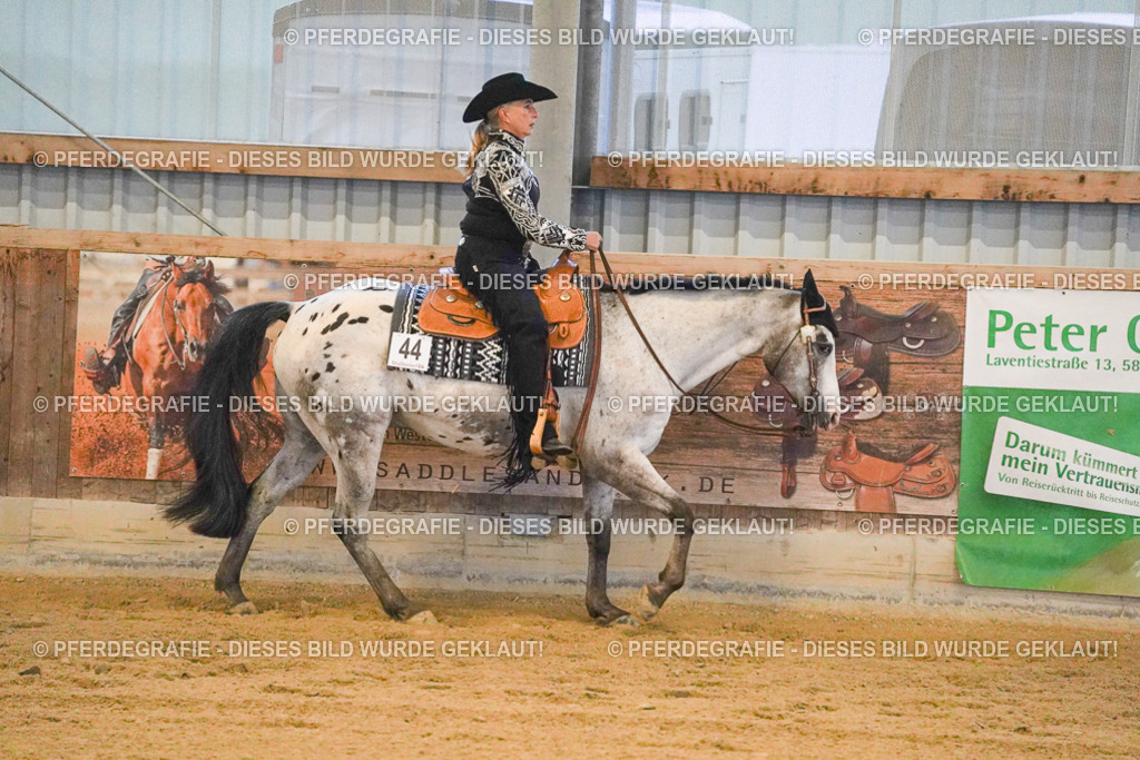 DSC08630 | Pferdegrafie