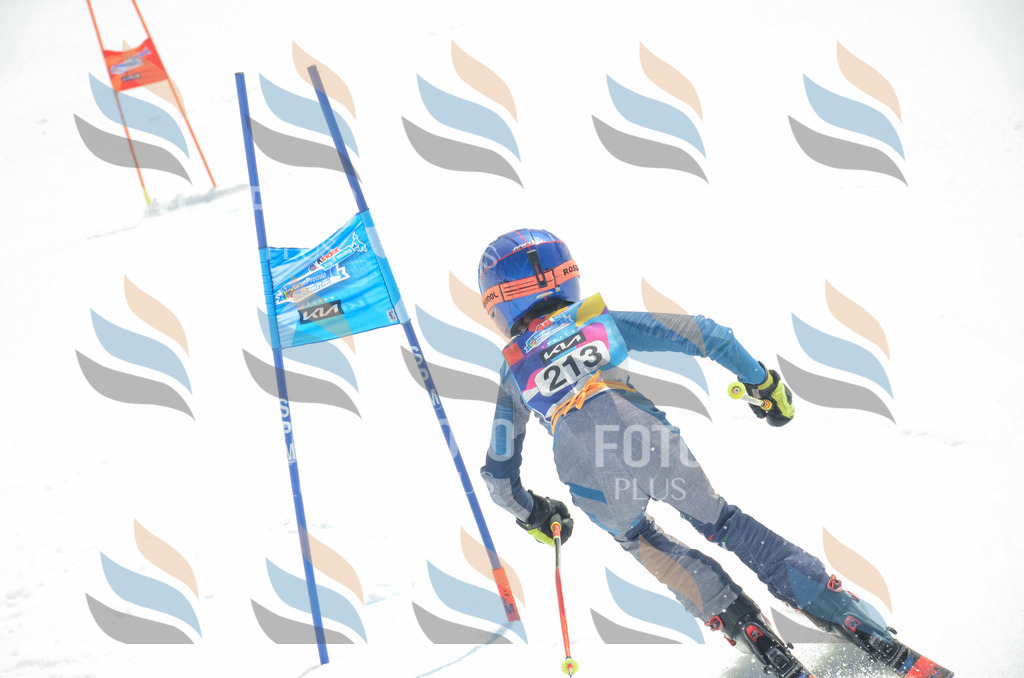 _ELE7078 | holidayphoto