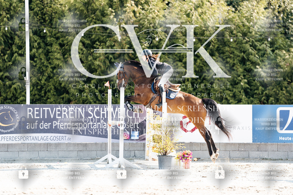 CK901793 | Turnierfotografie Pferdefotografie Trier Rheinland-Pfalz Pferdesport Reitsport Tierfotografie Sportfotografie Pferdevideo Pferdevideografie Equestrianvideography equestrianphotography  - Realisiert mit Pictrs.com