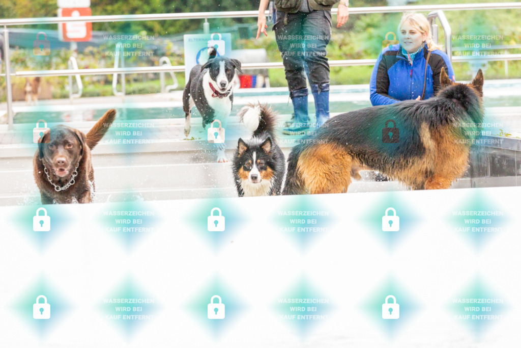 _HP_7410_1000o | HetPix, HetPix Fotodesign, Fotografie, Fotodesign, Webshop, Sportfotografie, Portraitfotografie, Onlineshop, Sportfotografie, Polch, Motorsportfotografie, Eventfotografie