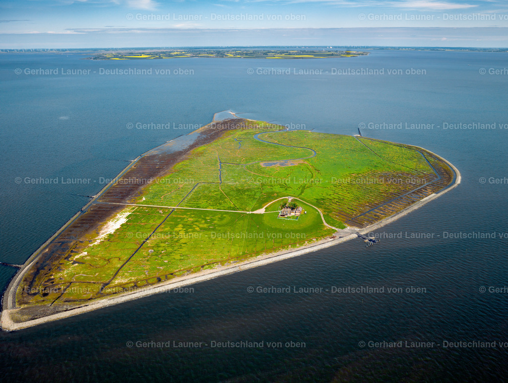 3091048 | Hallig Südfall, Nationalpark Schleswig-Holsteinisches Wattenmeer.