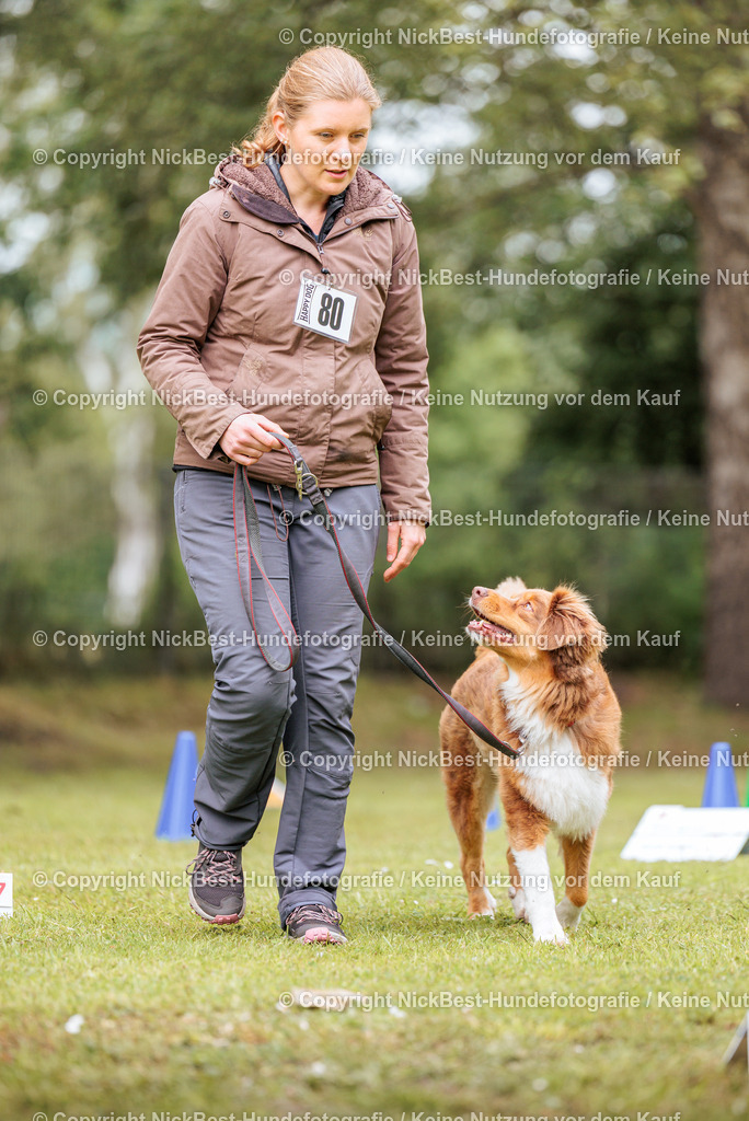 RO-Blumenthal-2026-Nickbest-Hundefotografie-3427 | Dein Hund! Dein Moment! Deine Erinnerungen! Hundefotografie in Bremen Blumenthal. Ich fange die besonderen Momente deines Vierbeiners ein – ob Indoor mit Blitzanlage oder in der freien Natur. Sicher dir dein Moment und dein Termin für eure Erinnerungen.