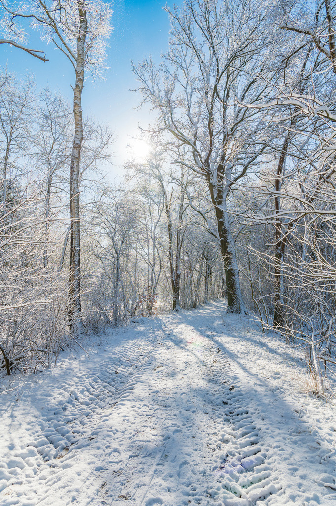 2023_03_11_MCP7224 | Hochwertig gedruckte Fotografien für die Wand, als Kalender und zum Verschenken. Hamburg & Norddeutschland und überall wo ich mit der Kamera unterwegs war.