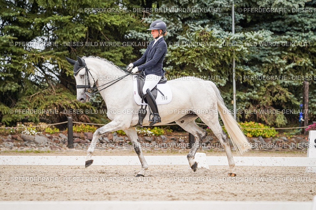 DSC07794 | Pferdegrafie