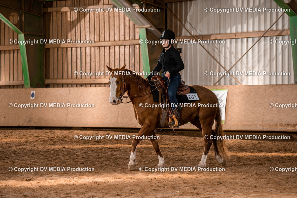 BAL02155 | dv-media-shop - Realisiert mit Pictrs.com