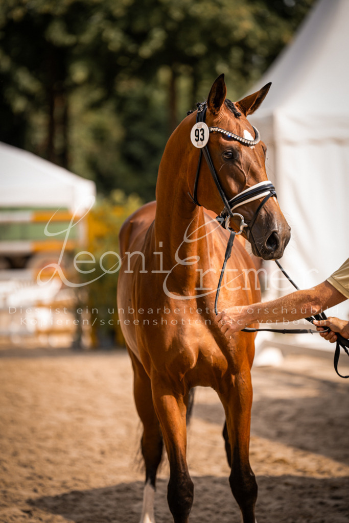 FrER00101 | Leoni Ertmer Photography - Realisiert mit Pictrs.com