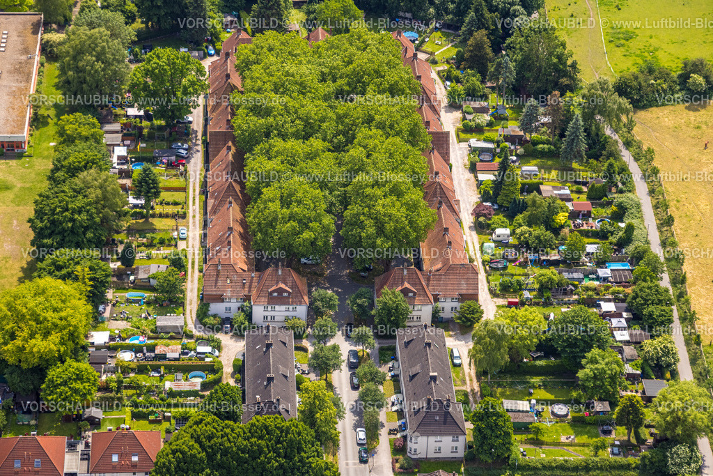 Herne250602180 | Luftbild, Wohnanlage Siedlung Teutoburgia Bergmannssiedlung mit Baumgruppe im Innenhof, auch Gartenstadt Teutoburgia, Börnig, Herne, Ruhrgebiet, Nordrhein-Westfalen, Deutschland