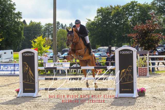 DKP43900 | Turniersportfotografie; Pferdefotografie; Dressurfotografie