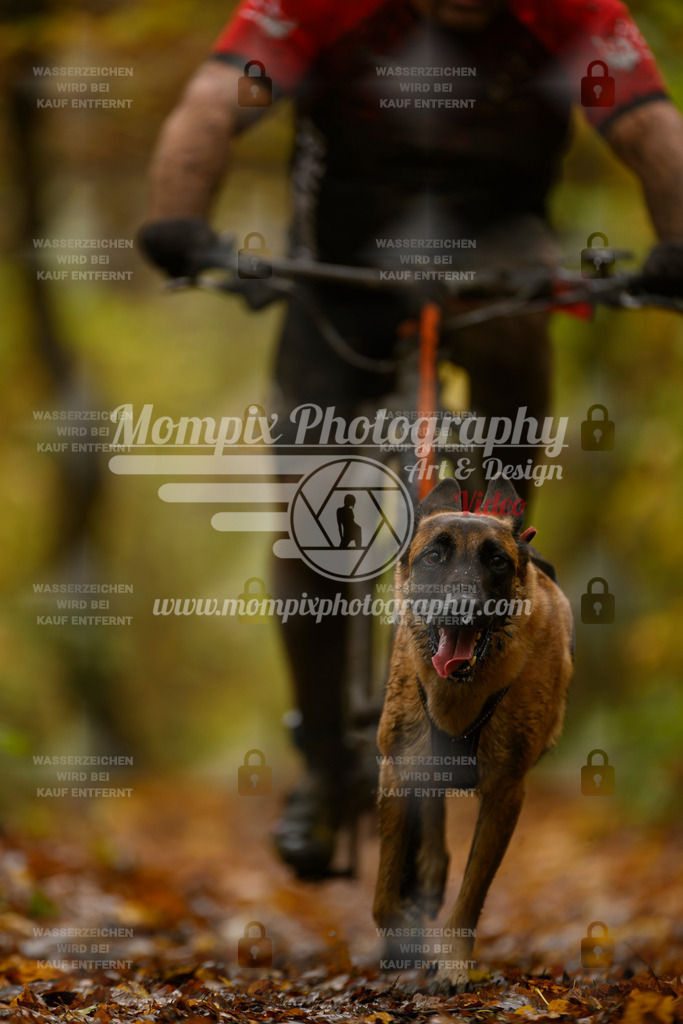 MompixPhotography_CD7S_DI_Bike-79 | mompixphotography