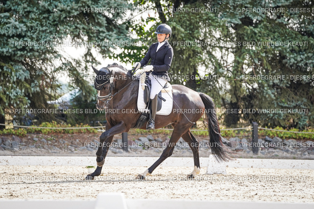 DSC06531 | Pferdegrafie