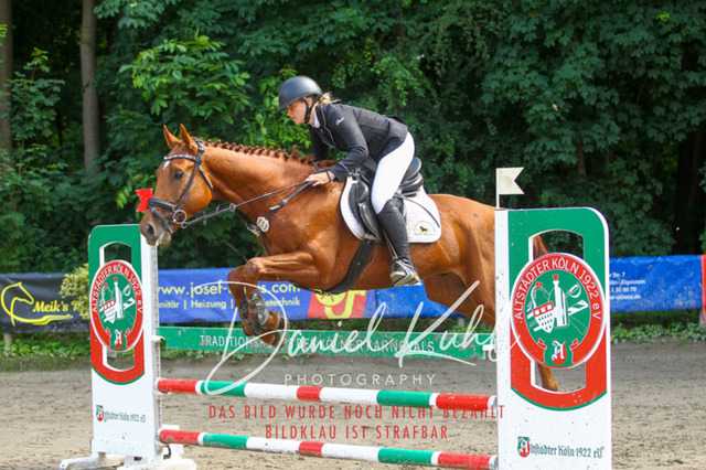 DKP45141 | Turniersportfotografie; Pferdefotografie; Dressurfotografie