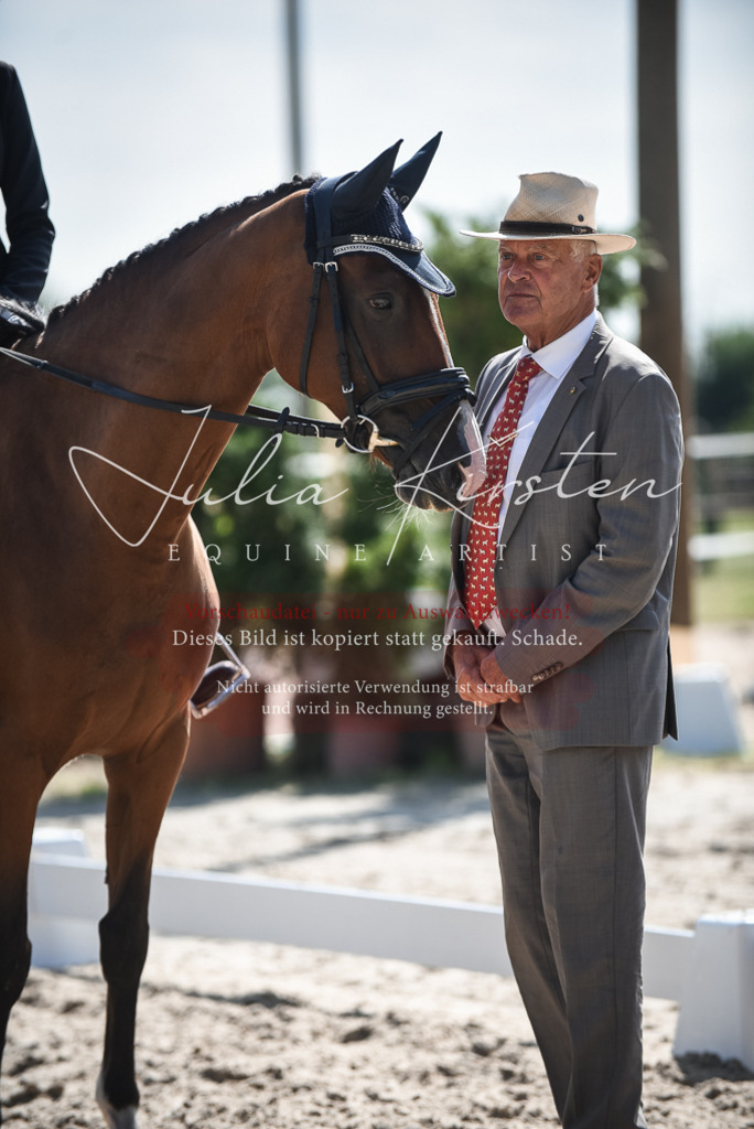 DSC_8751 | Pferde- und Turnierfotografie in Westsachsen. Pferdeportraits, Auftragszeichnungen und intuitive Kunst.