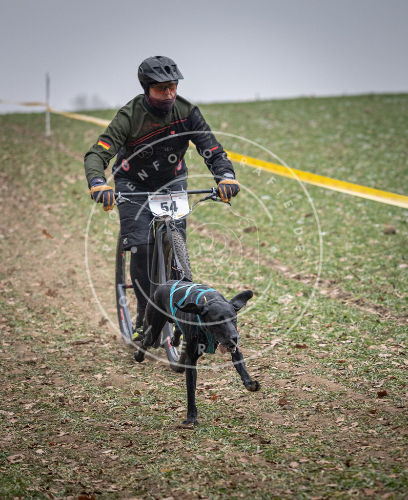 Pfotenfotografie_DV3A1141 | Hundefotografie, Tierfotograf, Pfotenfotografie, Fotoshooting Hund, Hunde Portrait, Hundesport, Hundeportraits, Heideshooting, Hunde, Sportfotograf, Hundefotograf, Turnierhundsport, THS,  - Realisiert mit Pictrs.com