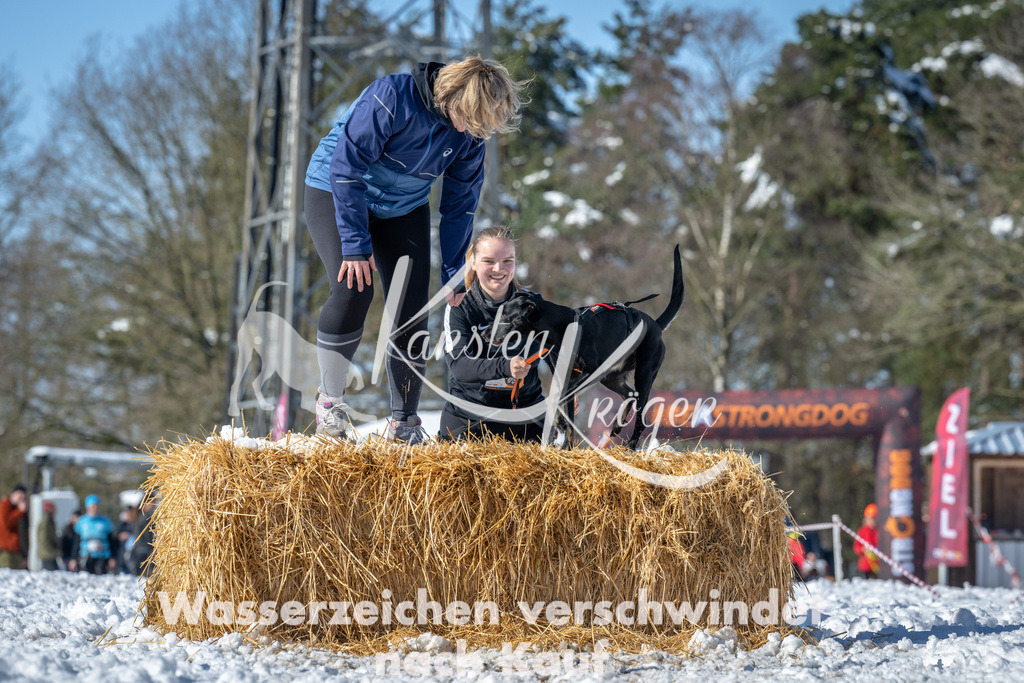 1156_ZZ91679-4 | kk-dogfotos