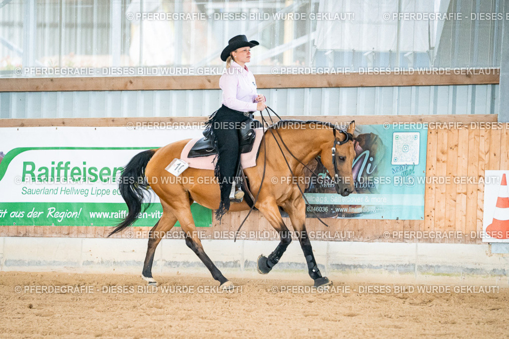 DSC00026 | Pferdegrafie