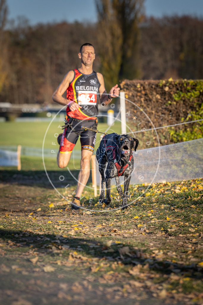 CaniXpix_DV3A4086 | Hundefotografie, Tierfotograf, Pfotenfotografie, Fotoshooting Hund, Hunde Portrait, Hundesport, Hundeportraits, Heideshooting, Hunde, Sportfotograf, Hundefotograf, Turnierhundsport, THS,  - Realisiert mit Pictrs.com