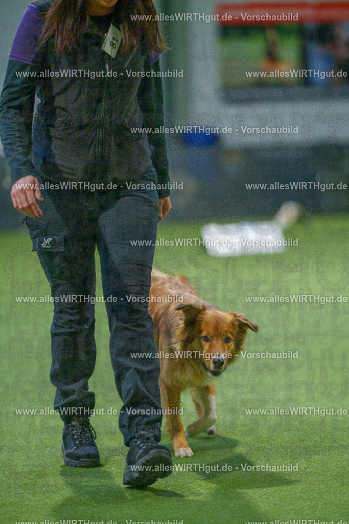 7R507730 | Professionelle Tierfotografie in Mönchengladbach von Daniel Wirth (allesWIRTHgut). Liebevolle & natürliche Bilder von Hunden & Katzen für unvergessliche Erinnerungen.