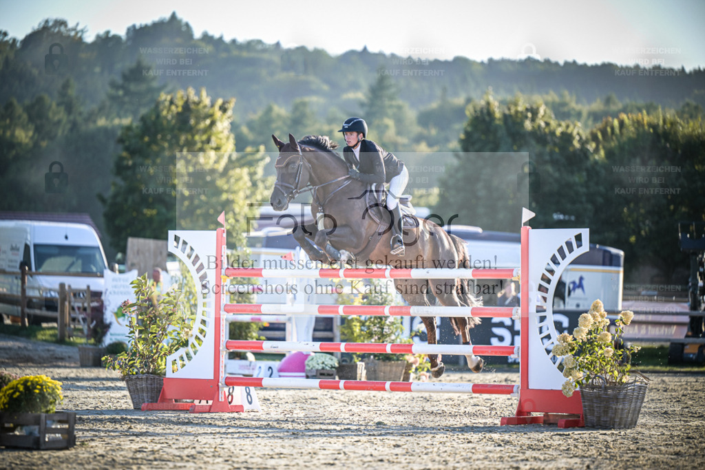 DOS_2388 | Entdecke hochwertige Reitturnierfotos von Foto Oger. Professionell, emotional und authentisch – jetzt Lieblingsmomente im Shop bestellen. - Realisiert mit Pictrs.com