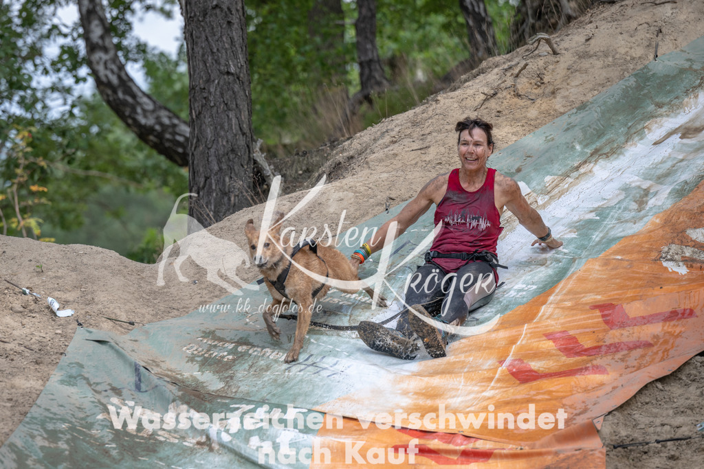 1250_ZZ94180 | kk-dogfotos