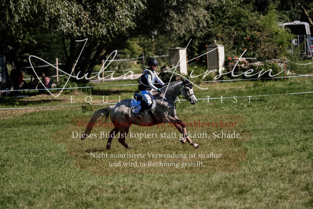 DSC_1415 | Pferde- und Turnierfotografie in Westsachsen. Pferdeportraits, Auftragszeichnungen und intuitive Kunst.