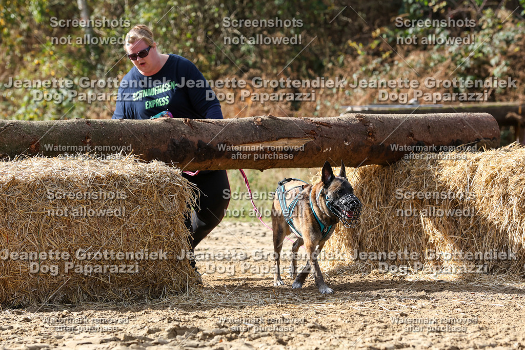Dog Paparazzi - Strongdog 10-25-5315 | Dog Paparazzi Jeanette Grottendiek Fotografie & Videografie - Realisiert mit Pictrs.com