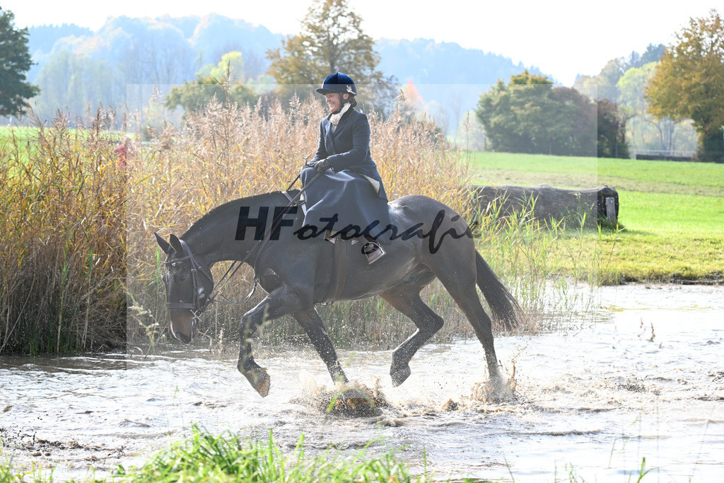 40250406 | hf-fotografie - Realisiert mit Pictrs.com