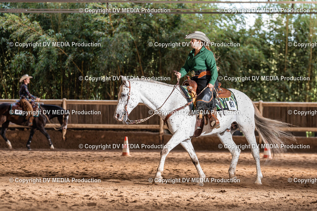 Erbach Tag 1-1143 | dv-media-shop - Realisiert mit Pictrs.com