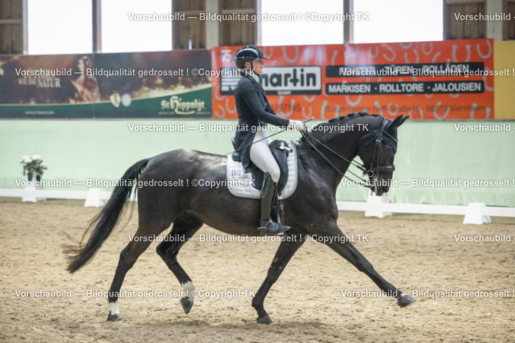 _D5A7093 | Emotionale Pferde- & People-Fotografie rund um Heidelberg, Leimen & Umgebung. Natürliche Fotos von Pferd, Mensch & Familie. Jetzt Termin sichern!