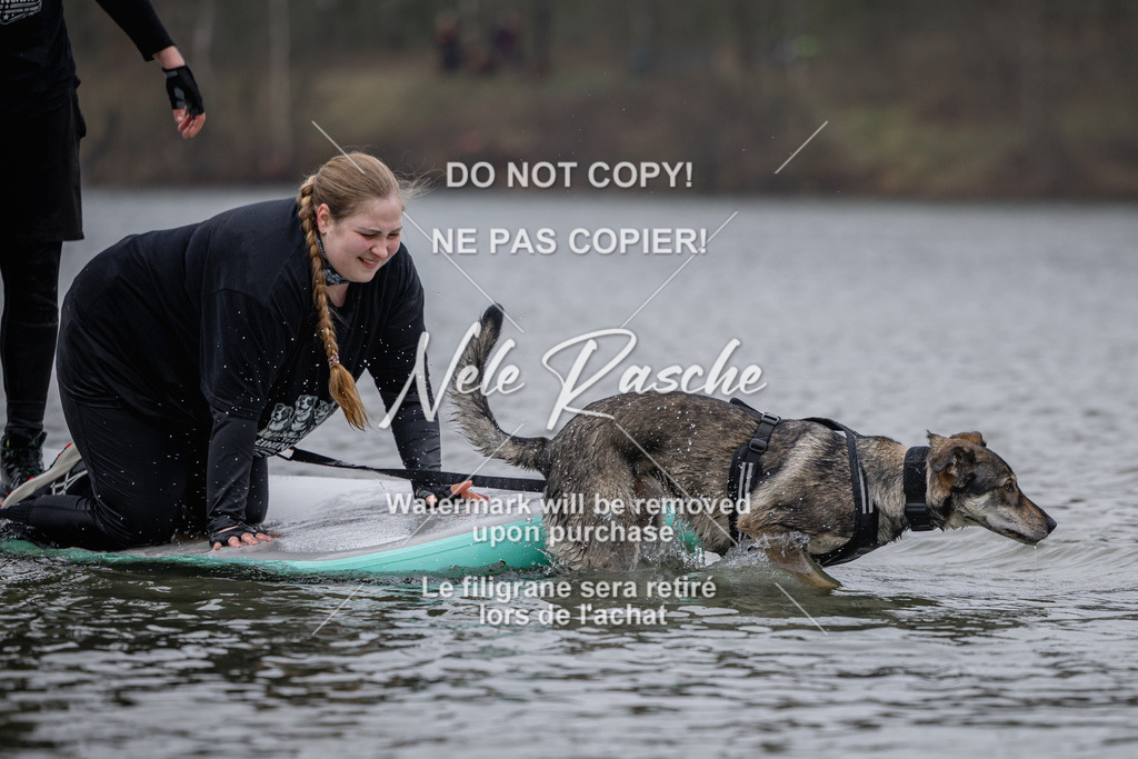 nelerasche_Hulsbeek_Sa1430-1515_434 | nelerasche