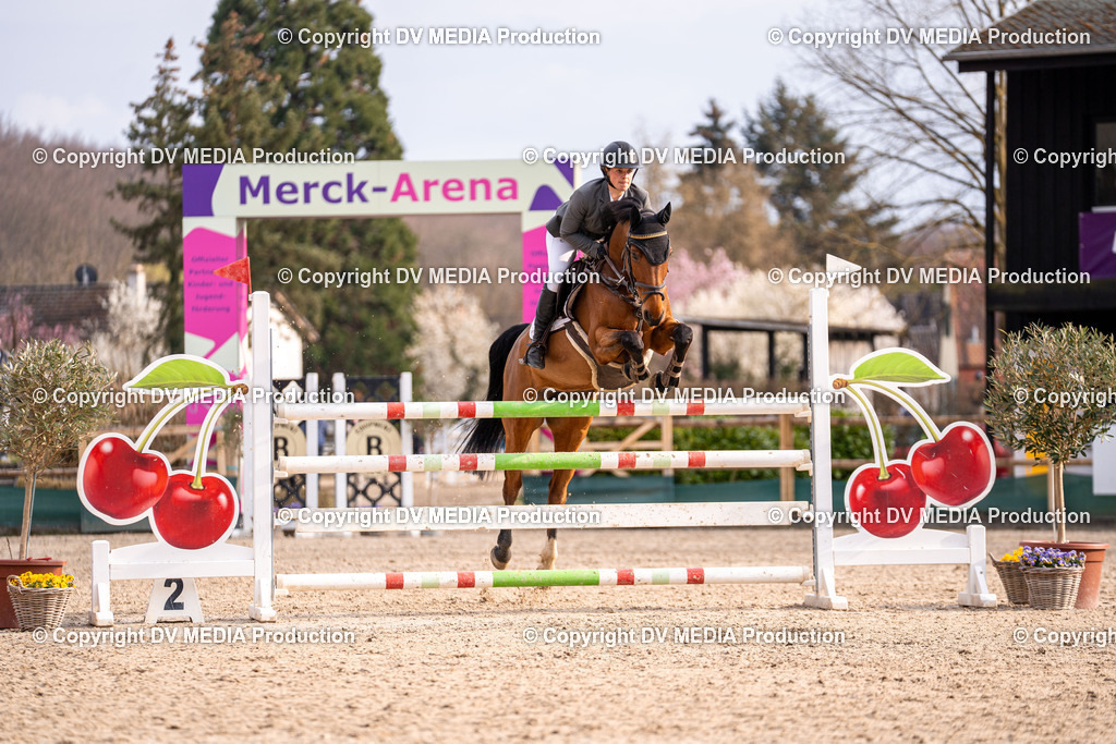 Kranichstein Tag 2-2320 | dv-media-shop - Realisiert mit Pictrs.com