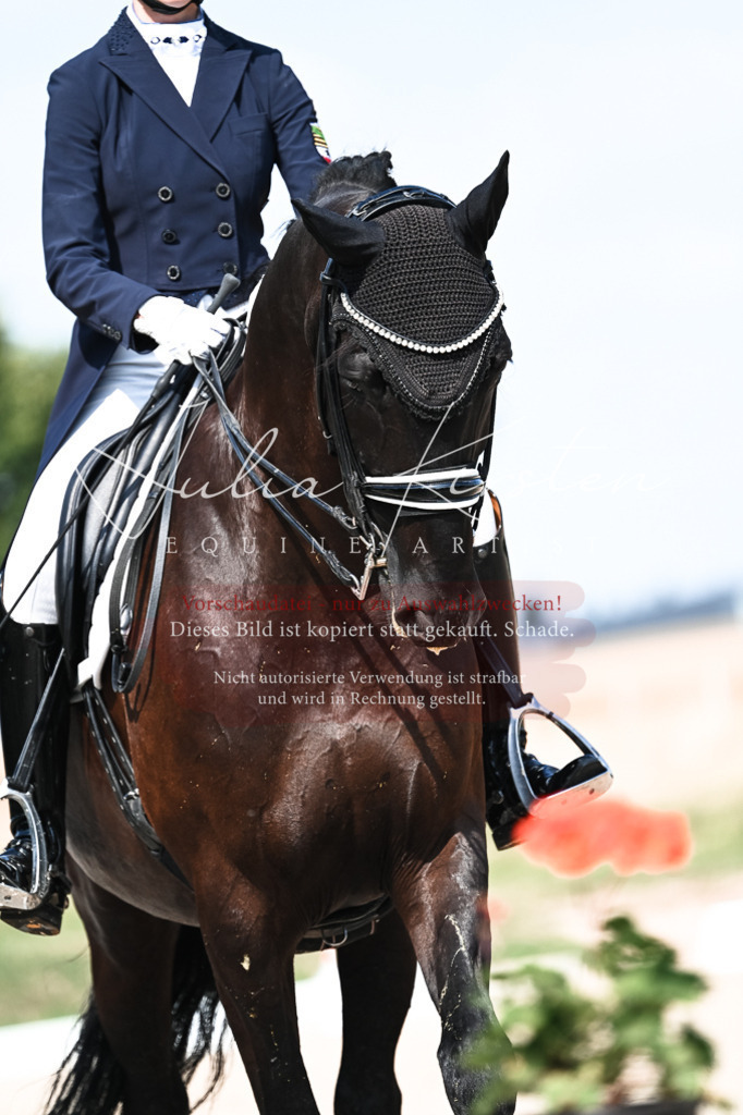 DSC_3142 | Pferde- und Turnierfotografie in Westsachsen. Pferdeportraits, Auftragszeichnungen und intuitive Kunst.