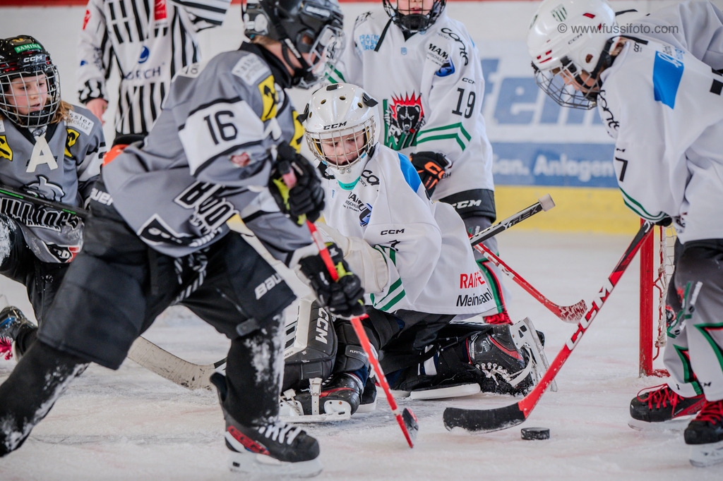 DSC_1302 | "Fussifoto.com – Ihr Ansprechpartner für hochwertige Fotografie! Entdecken Sie kreative Bilder und professionelle Dienstleistungen. Kontaktieren Sie uns für Ihre Projekte!"