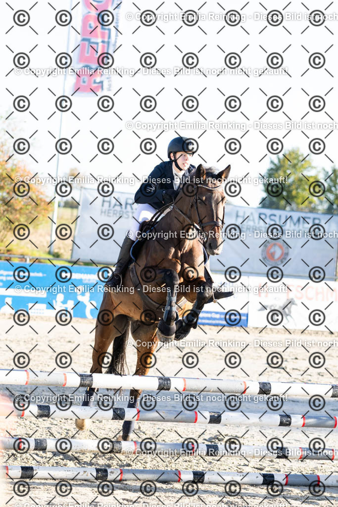 CL5A0912 | Emilia Reinking Fotografie - Realisiert mit Pictrs.com