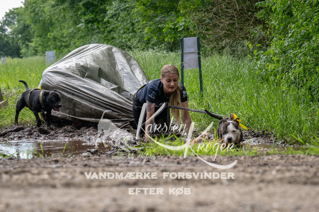 1106_ZZ91465 | kk-dogfotos