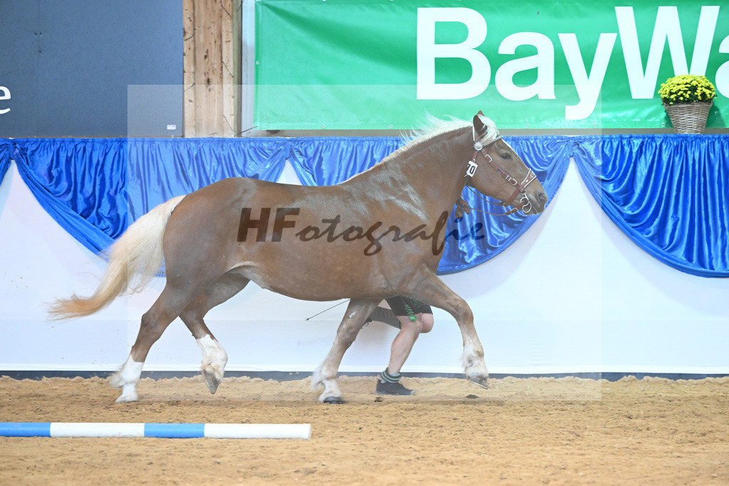 Kat-Nr. 70 Paula_Multerer_53220289 | hf-fotografie - Realisiert mit Pictrs.com