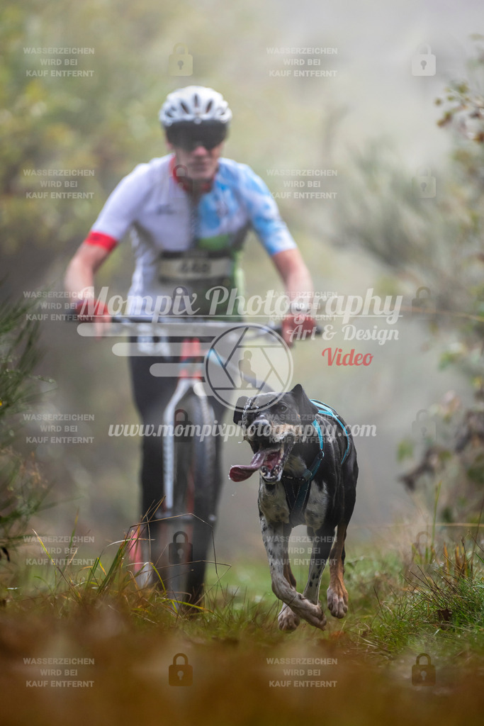 MompixPhotography_20TSB_E4_DS1-24 | PayLife