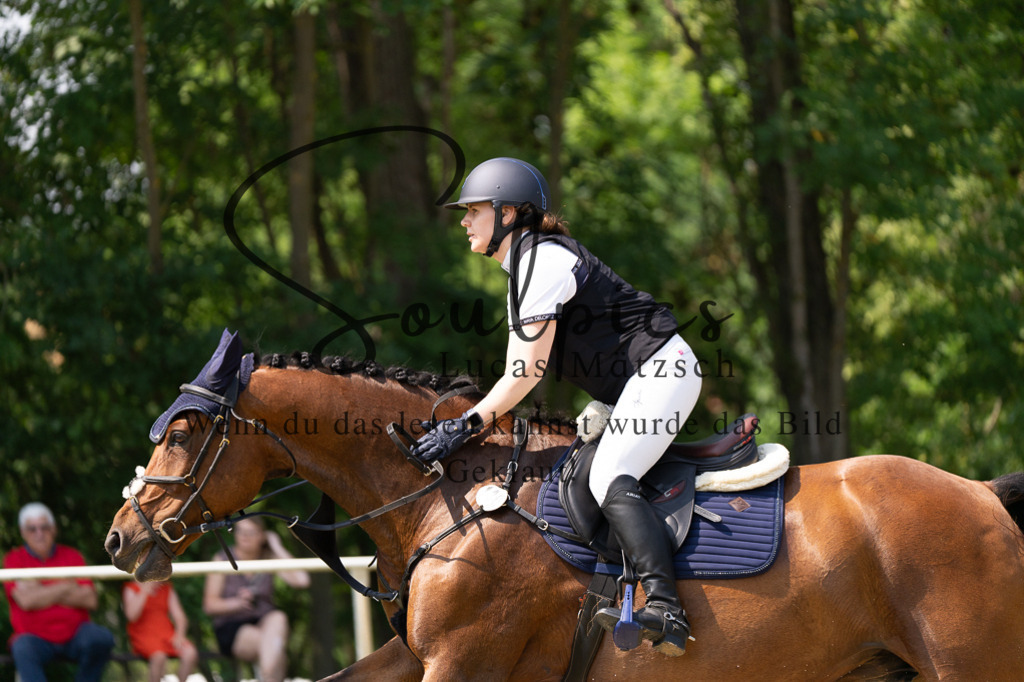 A7501984 | Turnier/Reitfotograf