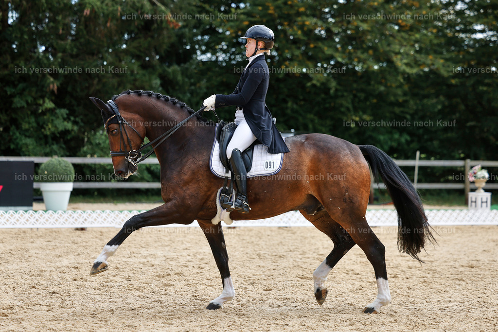 11-091-Dressur S___-StoibPH-1297 | working equitationturnier fotograf videograf stoibphotography marixx film working equitation deutschland reitsport turnierfotografie eventfotografie equestrian events