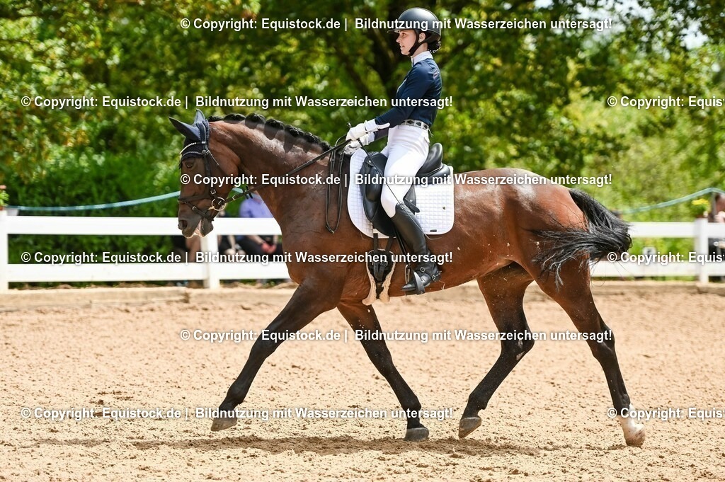 20230716_03_Dressurprfg. Kl.L - Tr._0264 | equistock