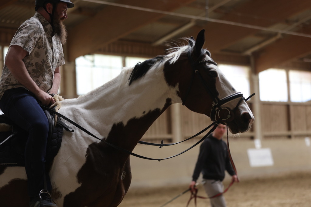 0P6A9075 | Willkommen bei Brunnmayr - Design & Fotografie – Ihrem Spezialisten für Reitturniere und Pferdeveranstaltungen in Oberösterreich, Salzburg und Bayern! Seit über 17 Jahren sind wir leidenschaftlich dabei.