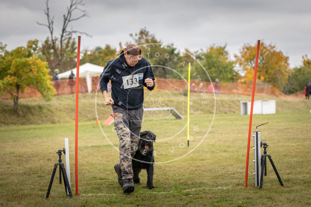 Pfotenfotografie_DV3A5306 | Hundefotografie, Tierfotograf, Pfotenfotografie, Fotoshooting Hund, Hunde Portrait, Hundesport, Hundeportraits, Heideshooting, Hunde, Sportfotograf, Hundefotograf, Turnierhundsport, THS,  - Realisiert mit Pictrs.com