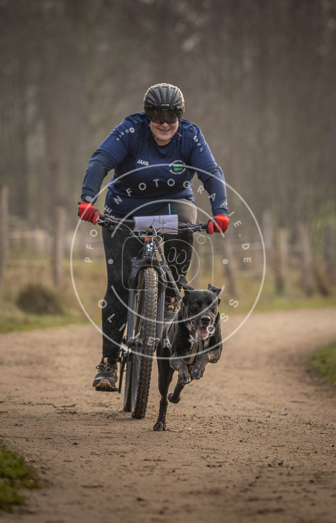 Pfotenfotografie_DV3A2019 | Hundefotografie, Tierfotograf, Pfotenfotografie, Fotoshooting Hund, Hunde Portrait, Hundesport, Hundeportraits, Heideshooting, Hunde, Sportfotograf, Hundefotograf, Turnierhundsport, THS,  - Realisiert mit Pictrs.com