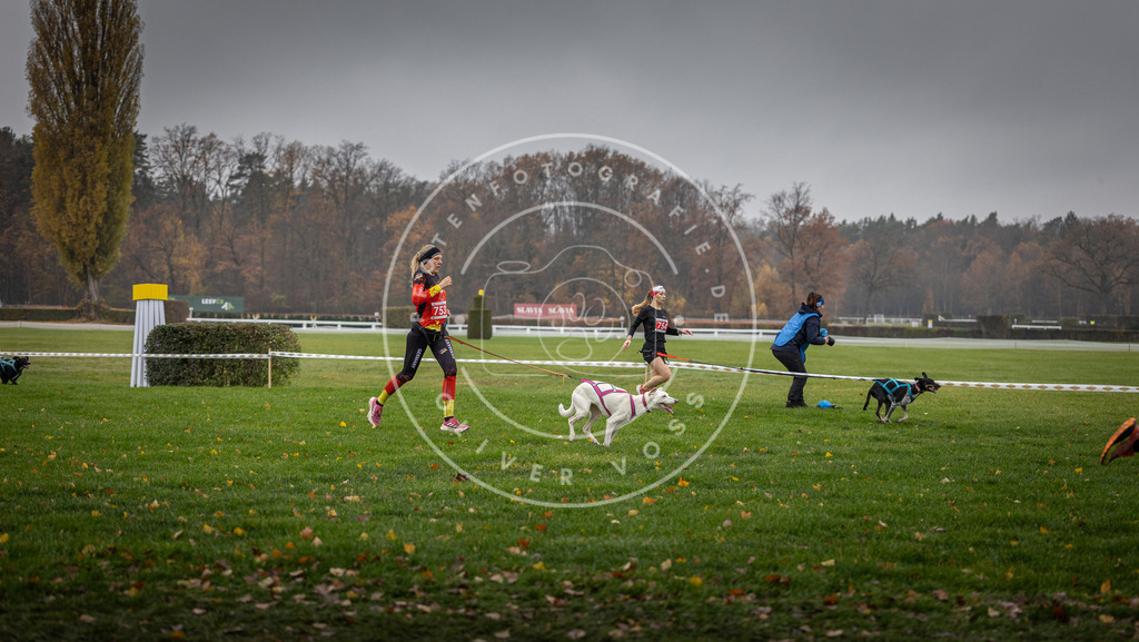 CaniXpix_DV3A8881 | Hundefotografie, Tierfotograf, Pfotenfotografie, Fotoshooting Hund, Hunde Portrait, Hundesport, Hundeportraits, Heideshooting, Hunde, Sportfotograf, Hundefotograf, Turnierhundsport, THS,  - Realisiert mit Pictrs.com