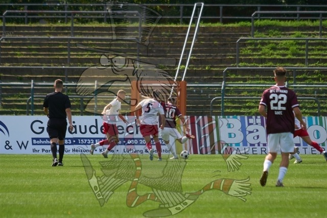 BFC Dynamo vs. ZFC Meuselwitz 104 | mythos-online-redaktion