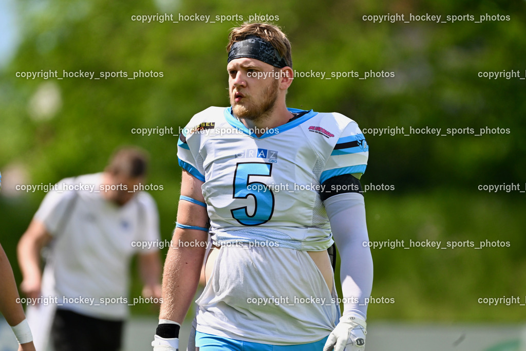 Carinthian Lions vs. Styrian Bears | Carinthian Lions vs. Styrian Bears, Carinthian Lions vs. Styrian Bears am 20.05.2024 in Klagenfurt (ASV Sportplatz), Austria, (Photo by Bernd Stefan)