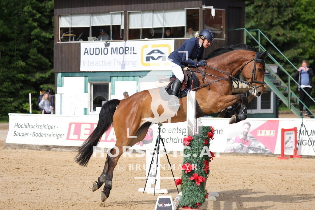 0P6A6421 | Willkommen bei Brunnmayr - Design & Fotografie – Ihrem Spezialisten für Reitturniere und Pferdeveranstaltungen in Oberösterreich, Salzburg und Bayern! Seit über 17 Jahren sind wir leidenschaftlich dabei.