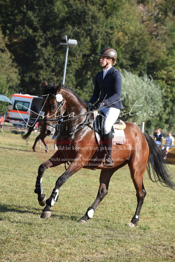 DSC_5291 | Pferde- und Turnierfotografie in Westsachsen. Pferdeportraits, Auftragszeichnungen und intuitive Kunst.