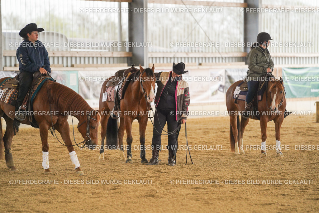 DSC00238 | Pferdegrafie